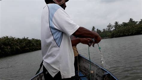 Menjaring Ikan Blanak Untuk Umpan Mancing Ikan Nawi Dapat Banyak Di