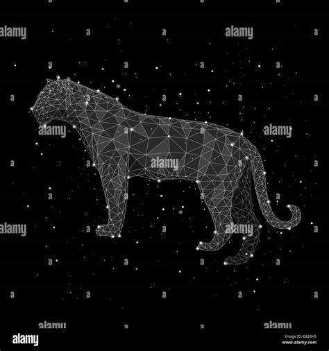 Constellation illustration hi-res stock photography and images - Alamy