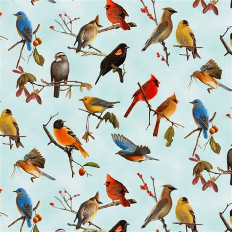 Bird Fabric 100 Cotton Fabric Assorted Birds On Light Etsy