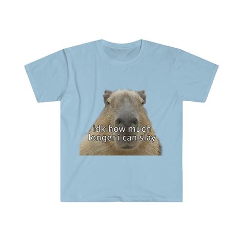 Capybara idk How Much Longer I Can Slay Funny Meme T Shirt - Etsy