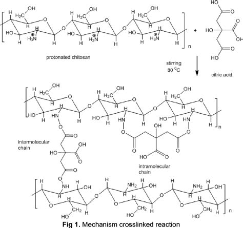 Figure 1 From Preparation Of Citric Acid Crosslinked Chitosanpolyvinyl Alcohol Blend