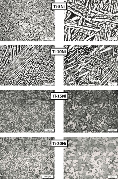 Optical Micrographs For Ti Ni Alloys After Melting Download