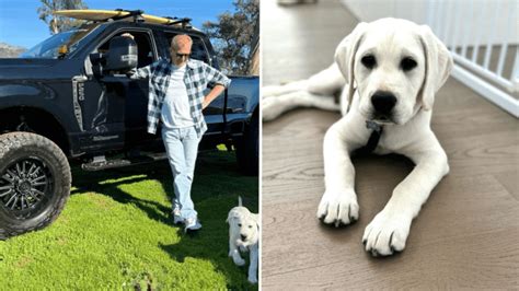 Kevin Costner's New Puppy Has People Totally Falling in Love - PetHelpful