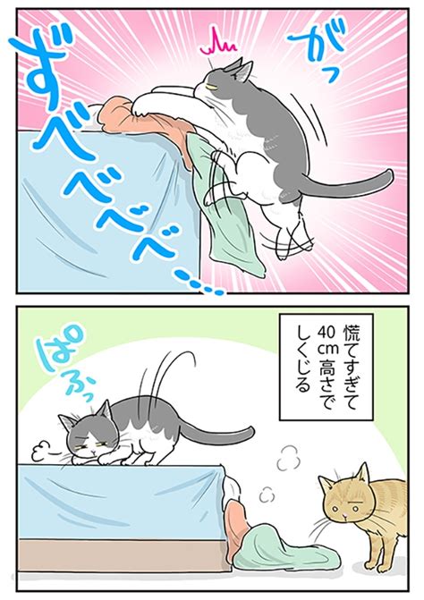 ＜画像278 644＞【ネコ漫画】個性あふれる3匹の猫とのドタバタな日常を描いたコミックエッセイを一気読み！｜ウォーカープラス