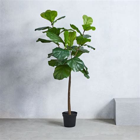 Faux Fiddle Leaf Fig Plant | west elm Australia