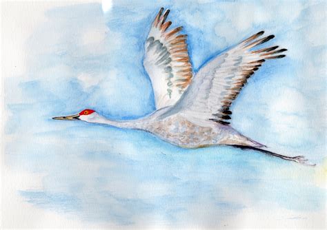 Sandhill Crane Print Release — Birdhouse.farm