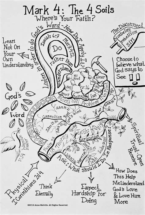 The Parable Of The 4 Soils Bible Study Notes Bible Study Scripture