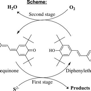 SCHEME 1 The oxidation of sulfide sulfur in the presence of a ...