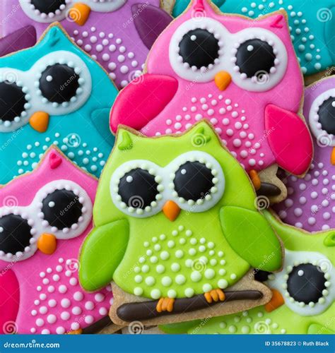 Owl Cookies Stock Image Image Of Icing Lots Vibrant