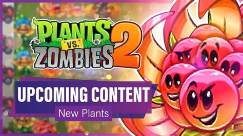 Pvz Upcoming Content Boomberry Maybee Universal Adventure News