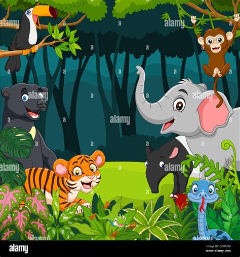 Cartoon wild animals in the jungle Stock Vector Image & Art - Alamy