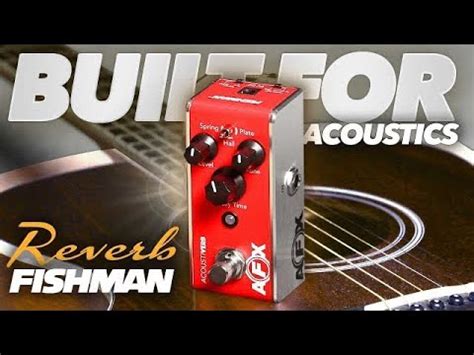 The Fishman Afx Acoustiverb That Plate Reverb Youtube