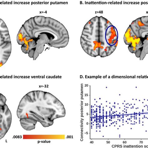 Whole Brain Functional Connectivity Networks For Each Of The Six Download Scientific Diagram