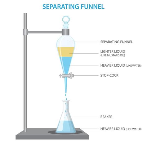 separando funil usava para separado dois imiscível solvente fases vetor