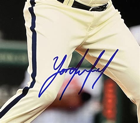 Yordan Alvarez Signed Astros Photo (JSA) | Pristine Auction