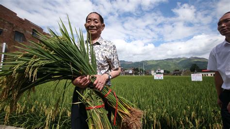 A Look Back At The Life Of Chinas Father Of Hybrid Rice Cgtn