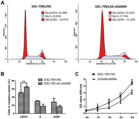 Effects on the cell cycle and cell proliferation following ...