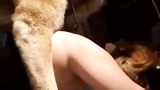 Search Videos For Horny Doxy Used By A Mutt Watch Horny Doxy Used By A Mutt At