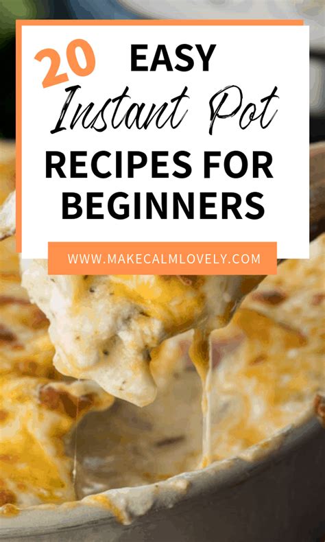 20 Easy Instant Pot Recipes for Beginners