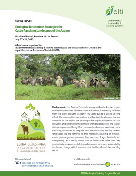 Ecological Restoration Strategies For Cattle Ranching Landscapes Of The