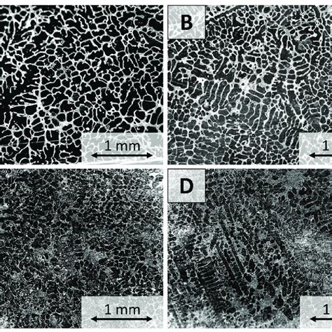 Microstructure Of The Sn 10 Wt Pb Alloy A Reference Sample B