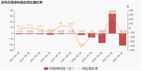 【图解季报】彩虹股份：2022年前三季度归母净利润同比盈转亏，毛利率下降658 东方财富网