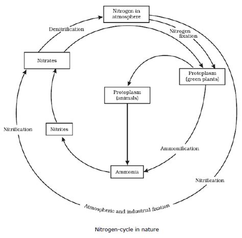 Cbse Class Science Natural Resources Notes