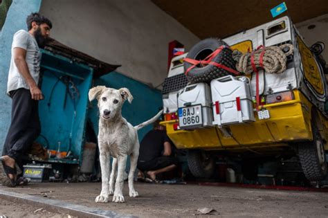 Náhradní díl do motoru vypadá jak mina Přibáňovy žluté žáby