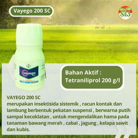 Jual Insektisida Sistemik Vayego Sc Ml Toko Obat Pertanian