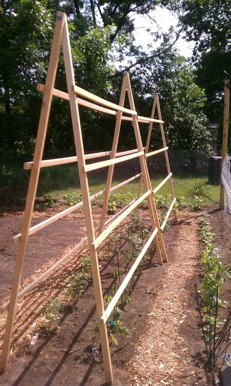 Tomato Trellis I Built Garden Crafts Pinterest