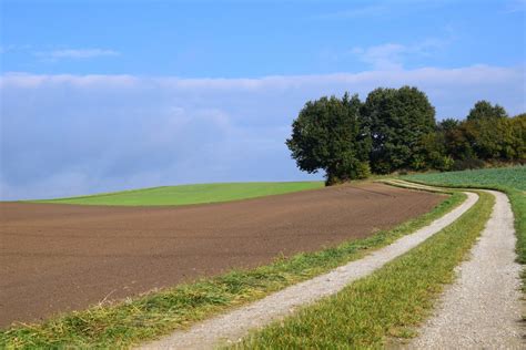 Free Images Landscape Nature Horizon Sky Field Meadow Prairie