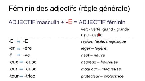 Les Adjectifs Introduction Genre Fémininmasculin Nombre Plurielsingulier Youtube