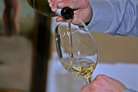 How To Blind Taste Wine Like A Sommelier A Full List Of Practice Wines