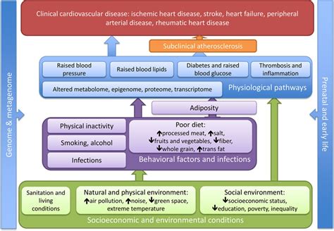 Worldwide Exposures To Cardiovascular Risk Factors And Associated