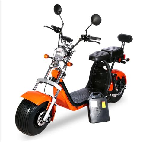 Motorcycle Electric Bike Citycoco Electric Scooter Motor 1000w E Bike