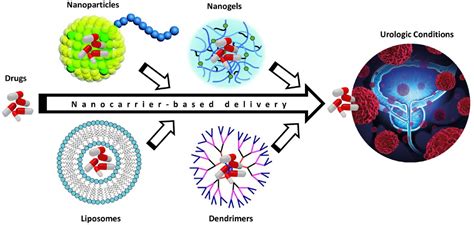 Nanotechnology As A Tool To Advance Research And Treatment Of Non