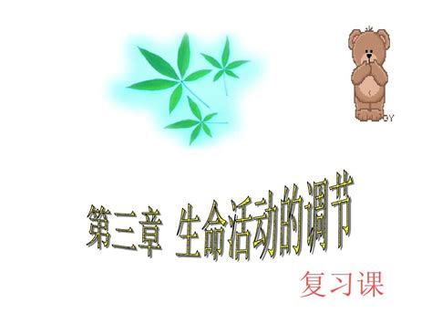 生命活动的调节 复习课件3word文档在线阅读与下载免费文档