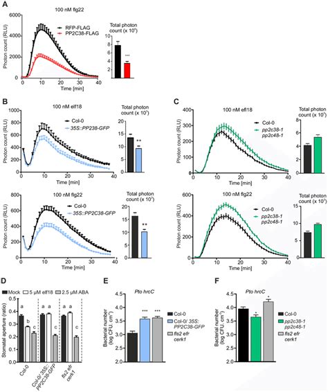 Pp2c38 Regulates Pamp Induced Ros Burst And Stomatal Immunity A B