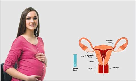 Iui Treatment In India For Dependent On Several Factors