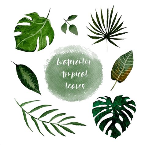 Premium Vector Watercolor Set With Green Tropical Leaves