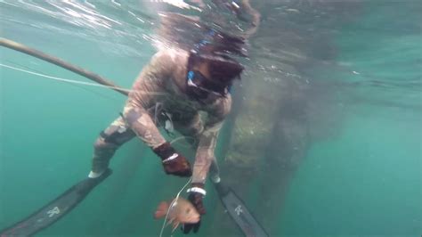 Top Spot Spearfishing Di Teluk Betung Lampung Spearfishing Indonesia