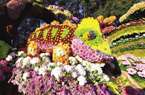 Panagbenga 2020 Is Canceled Due To The Coronavirus Outbreak Nolisoli