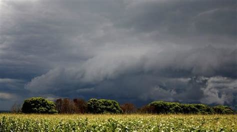 Uwaga Na Burze Z Gradem Prognoza Pogodowych Zagro E Imgw Tvn Meteo