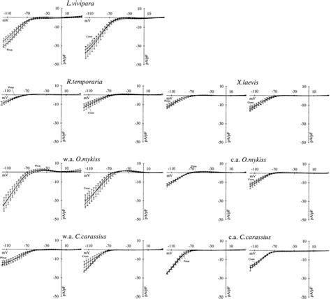 Openers Of Atp Sensitive K Channels Cromakalim Crom M And