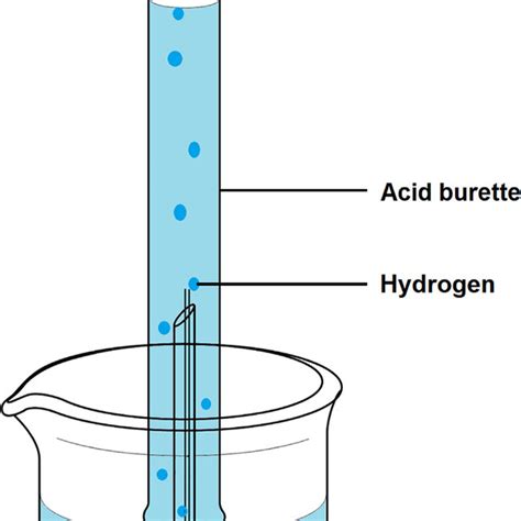 Schematic Illustration Of The Hydrogen Evolution Test Download