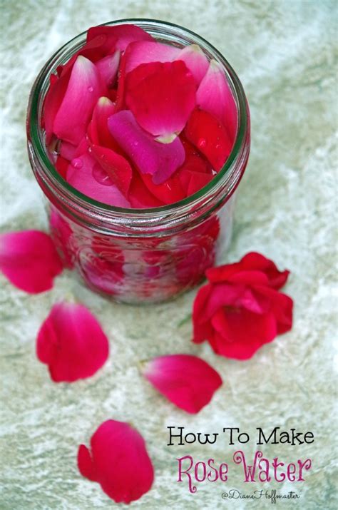 How To Make Rose Water Facial Toner Turning The Clock Back