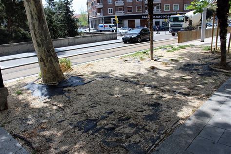 El PP reclama el arreglo de las zonas ajardinadas de Gran Vía y