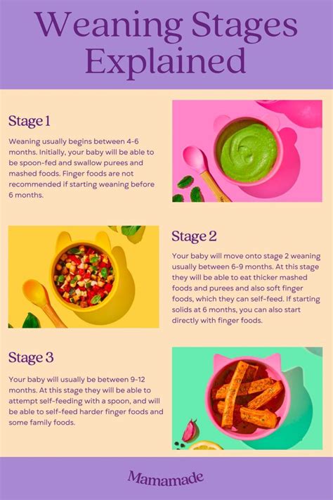 Baby Weaning Stages Explained | Weaning guide, Weaning, Mash recipe