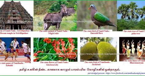 TAMILNADU GOVT JOBS : Symbols of Tamil Nadu