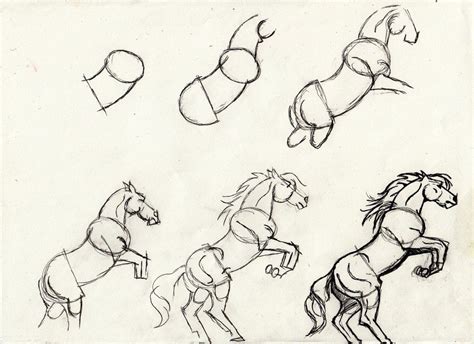 horse drawing easy step by step - Vena Neuman